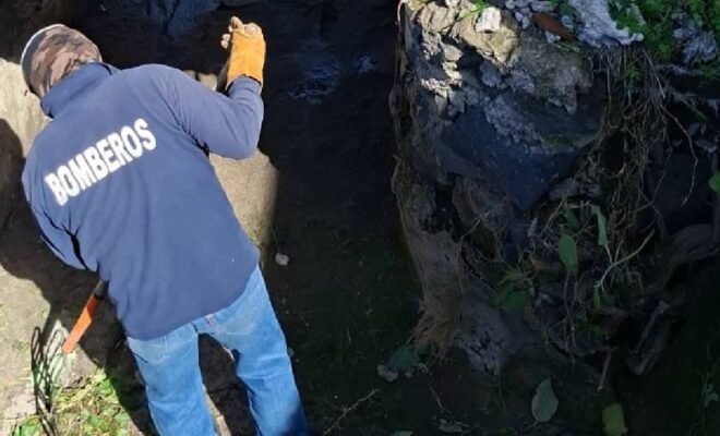 Noticias de Puebla