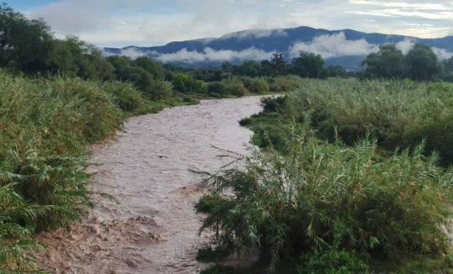 Noticias de Puebla